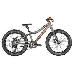 Scott Roxter 20 Bike in Raw Alloy